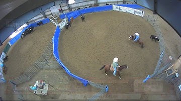 Big Sky Ranch Sorting Saddle Series #4 - #9 HC SORT - Round #2 - Ride #6