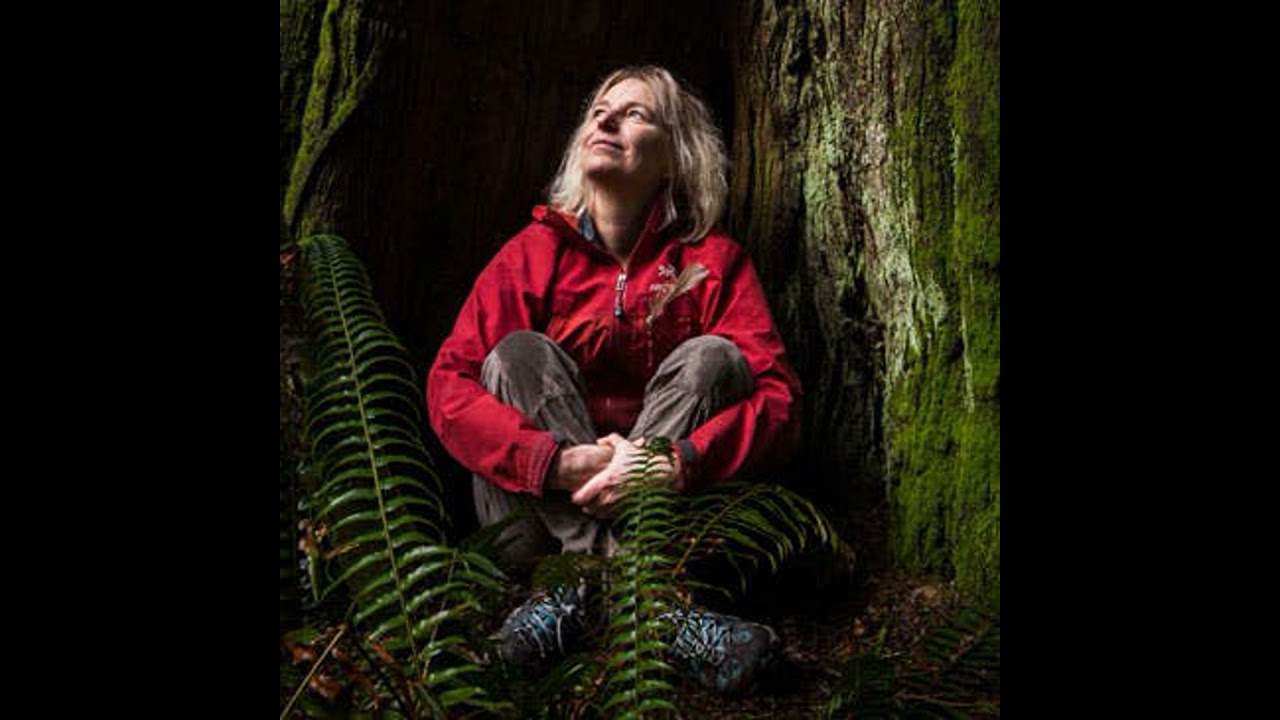 Forest Wisdom, Mother Trees and the Science of Community | Suzanne Simard