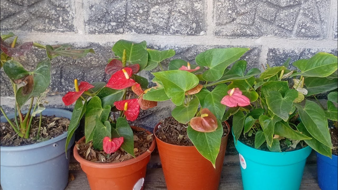 Pequeños cambios que hacen la diferencia 