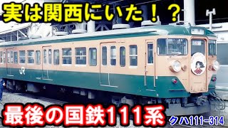 迷列車】実は四国じゃなかった！？最後まで残った111系とは