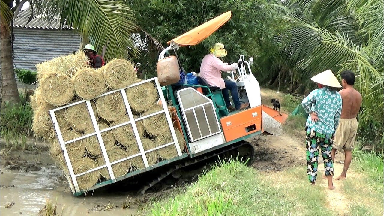 Tuột Lên Tuột Xuống Vài Lần Máy Cuốn Rơm Phan Tấn Mới Lên Dốc Bờ Kênh, LADY
