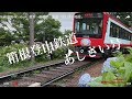 4K動画4K video　電車　箱根登山鉄道「あじさい電車」