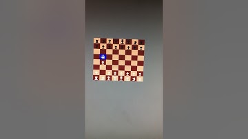 Comp 541 - Chess Game Final Project