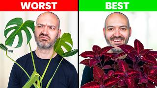 I Ranked Every Plant I Own