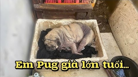 Đón nhận con những năm tháng cuối đời _ giao lưu cùng khán giả