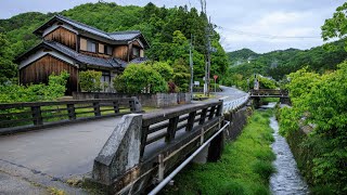 Early Morning Walk through Village and Farmland | Yumesaki, Japan 4K Rural Ambience