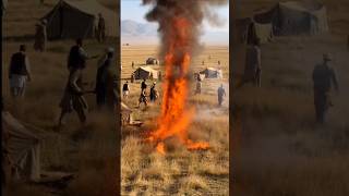 Sudden flame #animals #fire #shorts #reallife #animallife #humanstories #shortclips