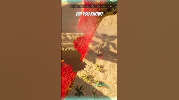 (Net gun ) in PHG hidden mechanic