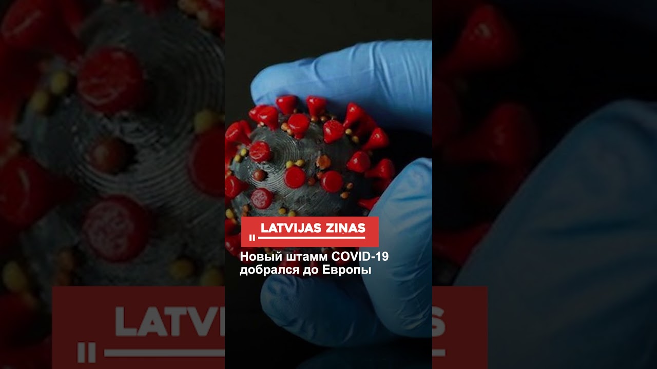 Новый штамм COVID-19 добрался до Европы