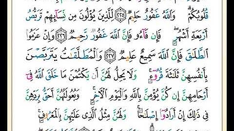 الصفحة رقم ( 36 ) من ختمة مصحف التجويد برواية حفص بصوت القارئ محمد حبش