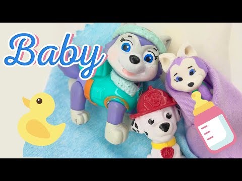 youtube baby paw patrol