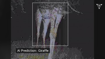 Using AI to Identify Wildlife in Camera Trap Images from the Serengeti