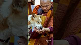 Walk for Peace in Sri Lanka 🇱🇰 | Beautiful Culture &amp; Friendly People #SriLanka #walkforpeace