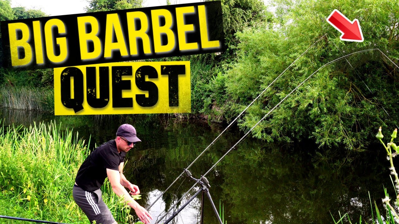 A WEEK OF BARBEL FISHING MANOR FARM LEISURE YouTube