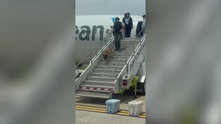 Celebrity DFW Airport ground stop issued after 'possible security issue' on plane Profile
