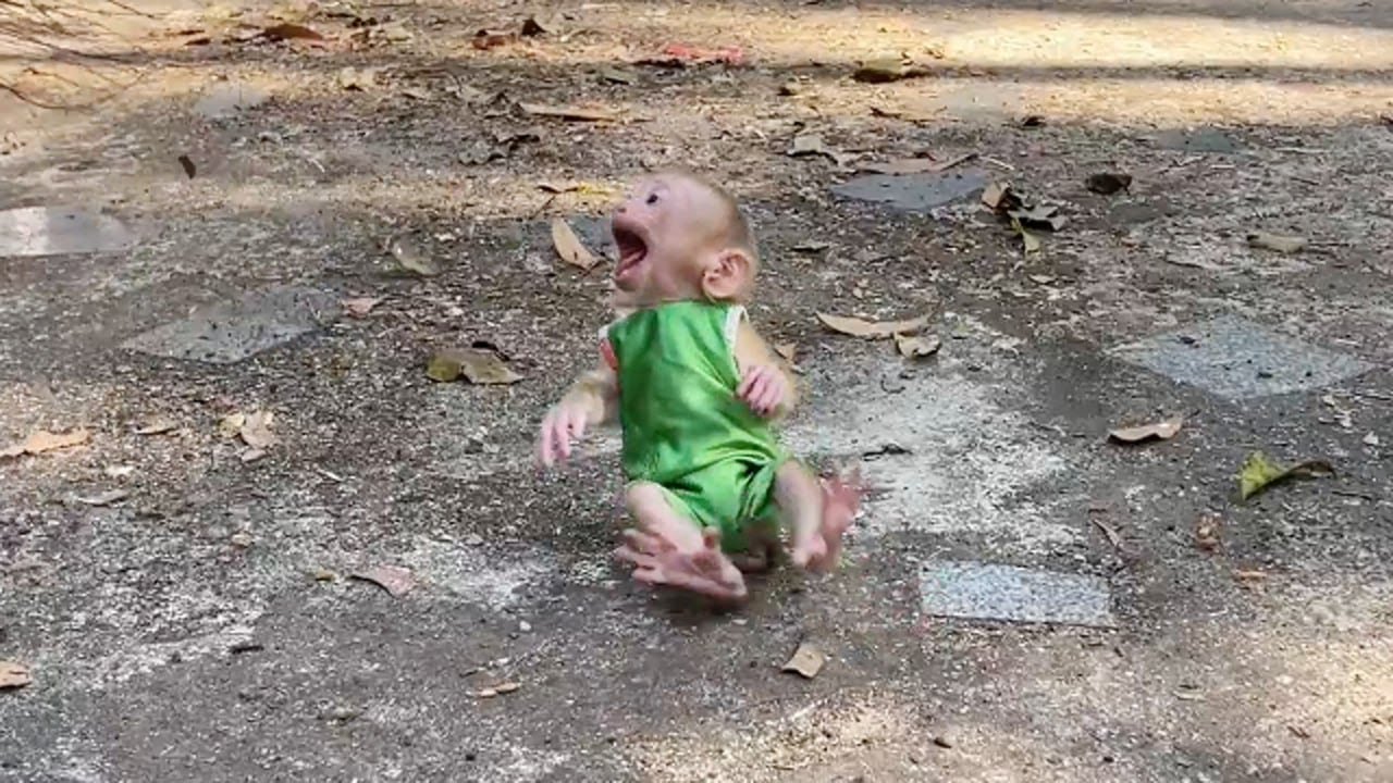 Oh GODNESS..!!! Ronaldo C-RY Backward Rolling On Floor Ask Mom For Pick Up Him