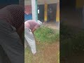 School campus and plant's cleaning before the rainy season.