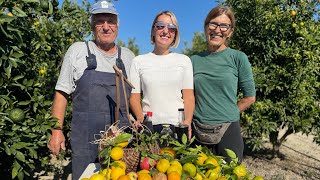 Day trip to magnificent Neretva Valley for mandarin harvest & boat tour