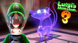 Floors 8 & 7 | POLTERKITTY Ghost Cat First Encounter | LUIGI´S MANSION 3 Guide