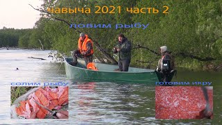 ЧАВЫЧА 2021 часть 2