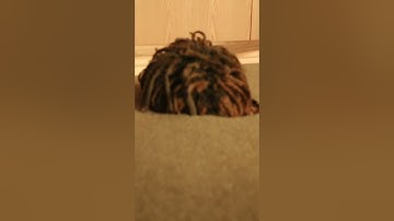 Lucid Dreams BTS #juicewrld