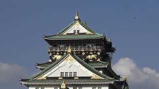 Osaka Tower 4K Stock Footage (U)