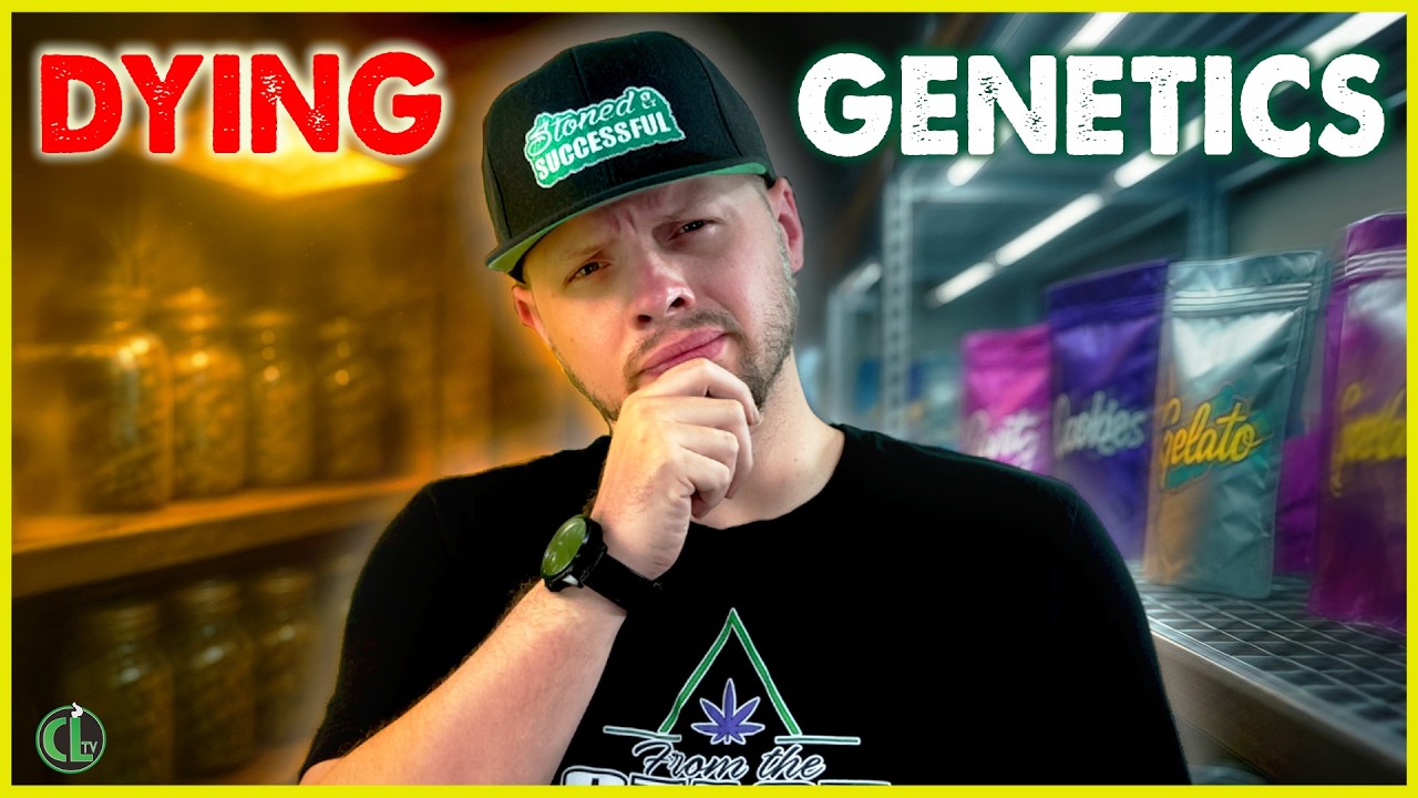 Великие гены исчезают! Что мы можем с этим поделать?