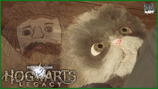 【ホグワーツレガシー】ハグリッドの赤ちゃん【獲名取ビスト / Vtuber / Hogwarts Legacy】