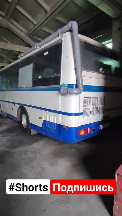 Пазик/#пазик/#паз/#автобус/#bus/#road/#truck/#водитель/#shorts/#шок/# ...