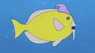 Merlins Amazing Deep Sea Magical Adventure (Part One of Two) @filmcow