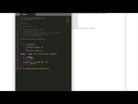 Python - For Loops And Lists
