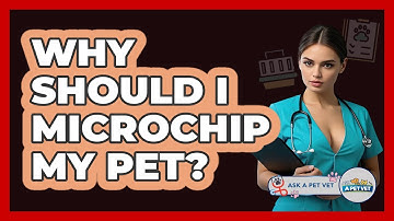 Why Should I Microchip My Pet? - Ask A Pet Vet