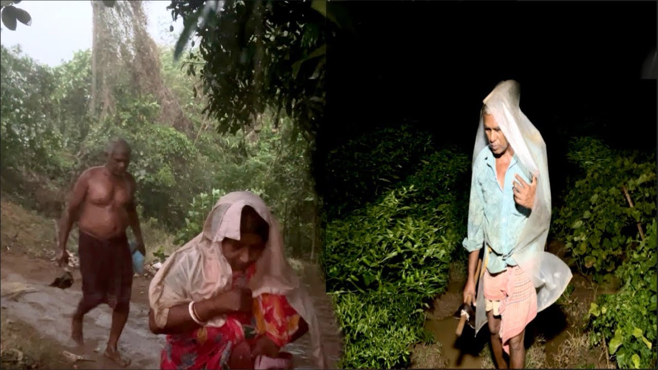 বিকেলে ভীষণ কালবৈশাখী ঝড় আর রাত্রে বৃষ্টির মধ্যে বাবার সাথে লঙ্কা গাছ বাঁচাতে মাঠে যাওয়া।