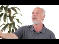 Yang Style Tai Chi - Bruce Frantzis Master's Learning Journey and Tai Chi Principles