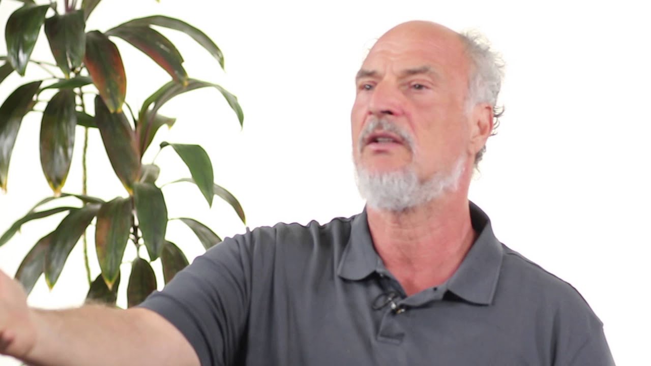 Тайцзи стиля Ян — путь мастера Брюса Франциса и принципы тайцзи