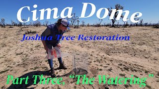 Cima Dome Joshua Tree Restoration Part Three, The Watering.