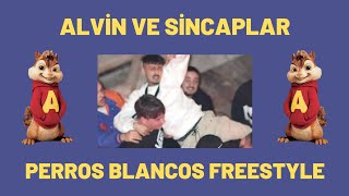 ÇAKAL & RECKOL - PERROS BLANCOS FREESTYLE | ALVİN VE SİNCAPLAR Resimi