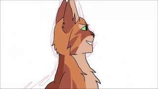 3 MAP WIPS