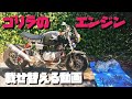 [4mini]フルカスタムゴリラエンジン載せ替え LIFAN150cc [モトブログ]honda gorilla TAKEGAWA 106cc モンキー