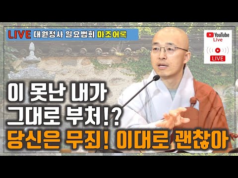 마조19 행복해도 괜찮아 당신은 무죄 이 못난 내가 부처라고