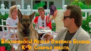 Вспомнилось! Неделя Джеймса Белуши. К-9: Собачья работа. Вспомнилось! Неделя Джеймса Белуши. К-9: Собачья работа.