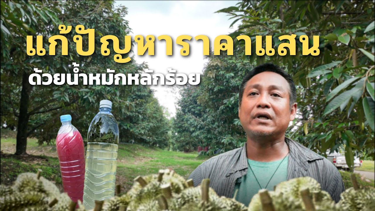 เติบโตจากวิกฤต พลิกวิธีคิดสร้างโอกาศ สวนน้องน้ำมนต์ พี่วัชรากร