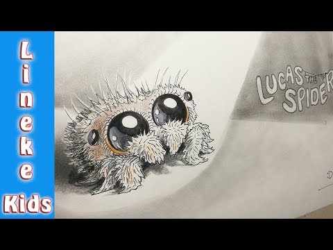 Video: Hoe teken je een spinnengrafiek?