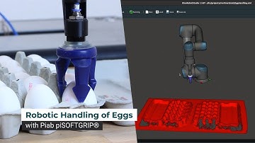 Robotic Handling of Eggs
