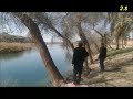 كمال محمد معاتبين