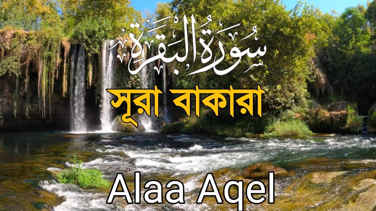 ঘরের সুখ-শান্তি ও রিজিক বৃদ্ধির জন্য সূরা বাকারা তিলাওয়াত| Surah Al Baqarah Full Quran