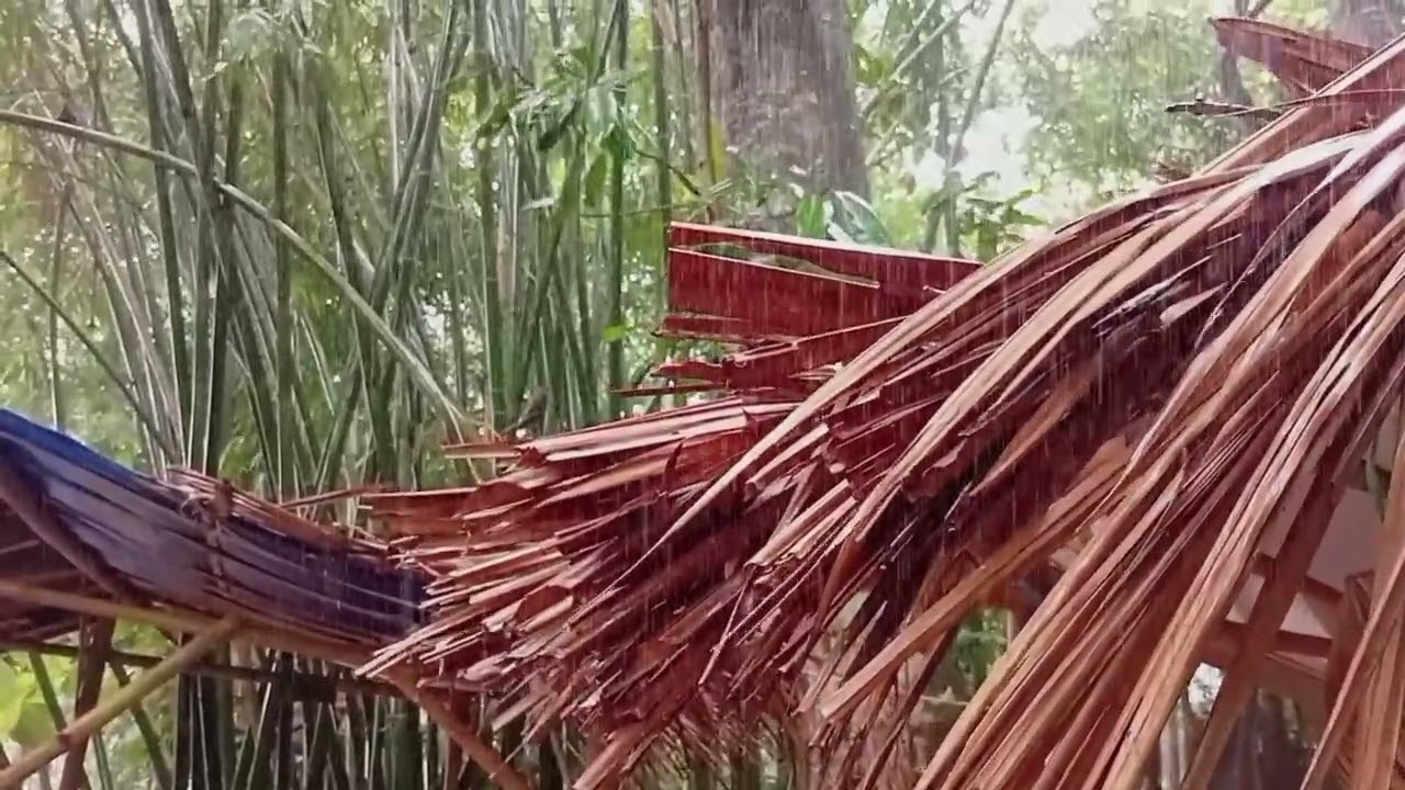 Tranquil Remote Village Heavy Rain 🌧️ Relaxing Rain Sounds for Sleep