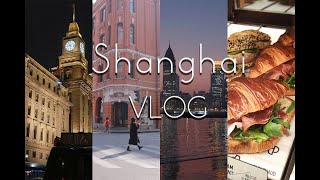 【柴柴的vlog】上海shanghai  | 蓝调时刻在外滩 | 黑金城市 | 魔都citywalk |上海自然博物馆