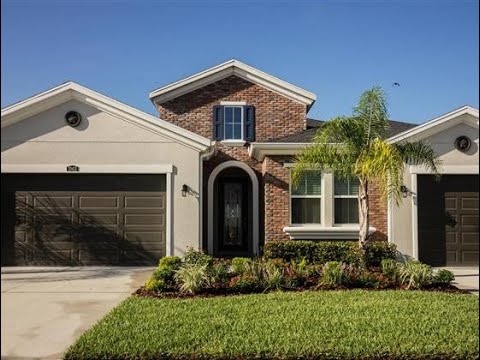 29431 Picana Lane, Wesley Chapel, FL home video tour