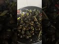 Ốc Mới Thả Được 3 Tháng mà Thèm Quá Bắt Lên Ăn Thui.